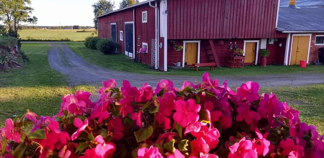View from the terrace